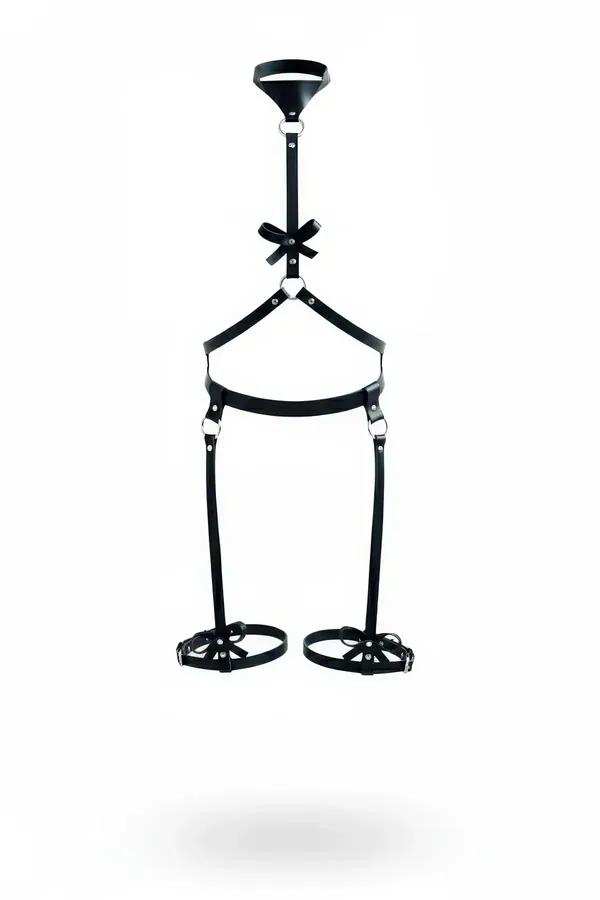 Full Body Harness with Neck Collar & Thigh Garters