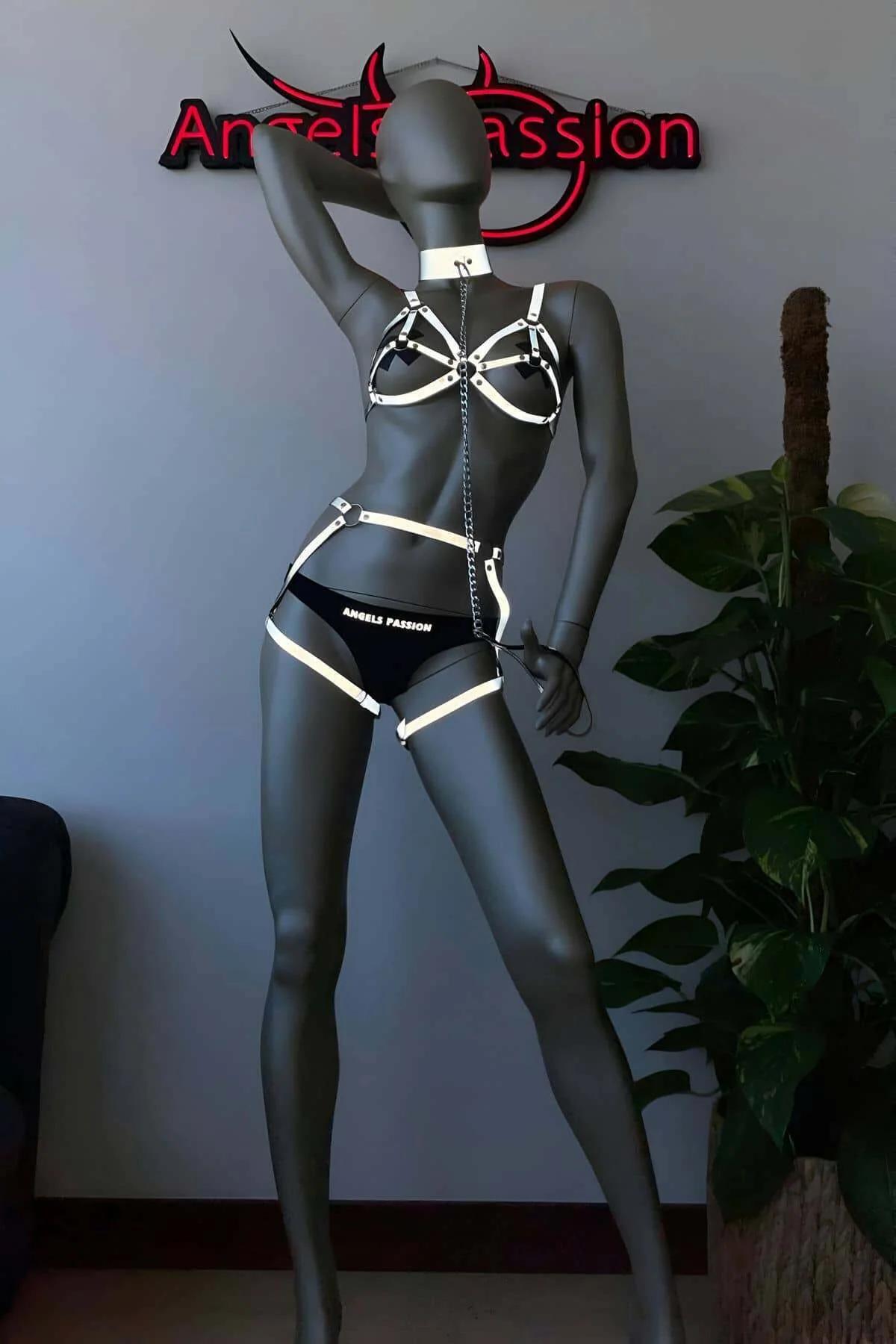 Reflective Full Body Harness Set with Collar and Garters