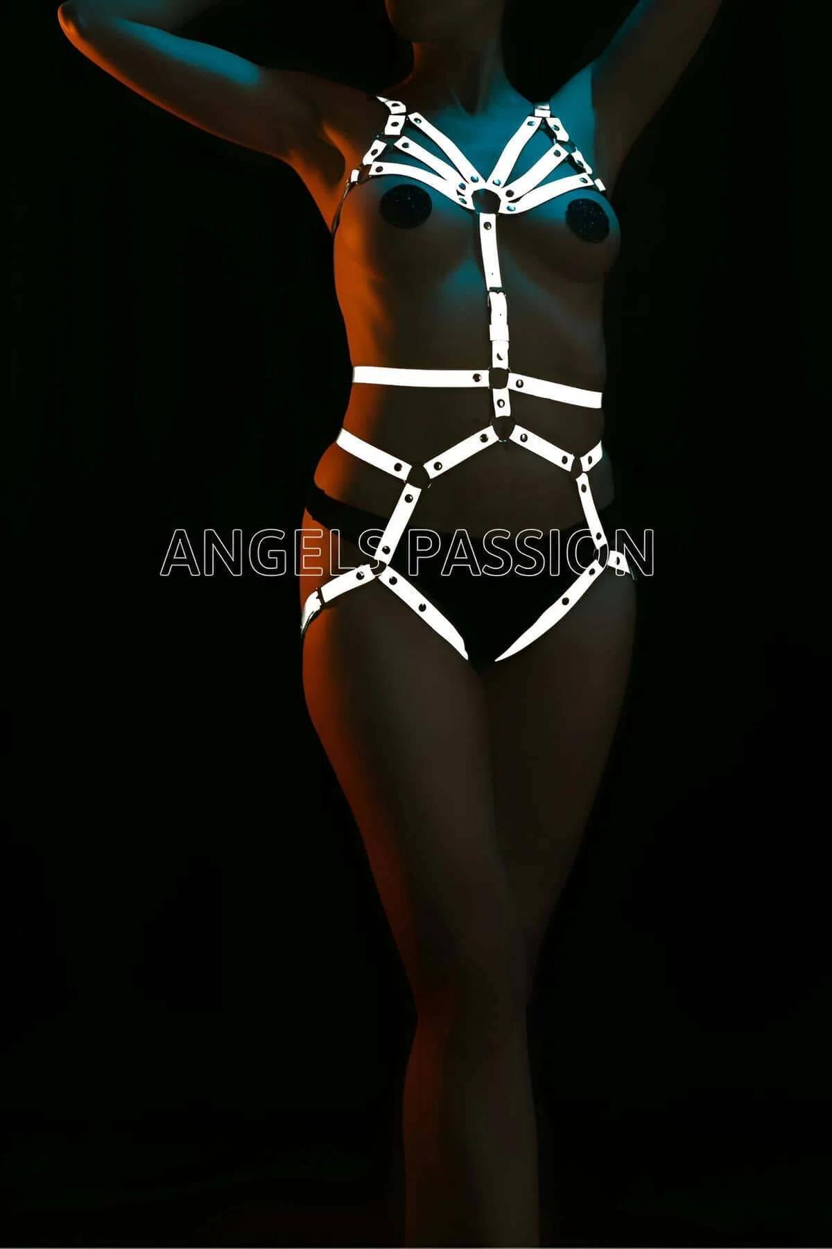 Reflective Full Body Harness with Star Detail