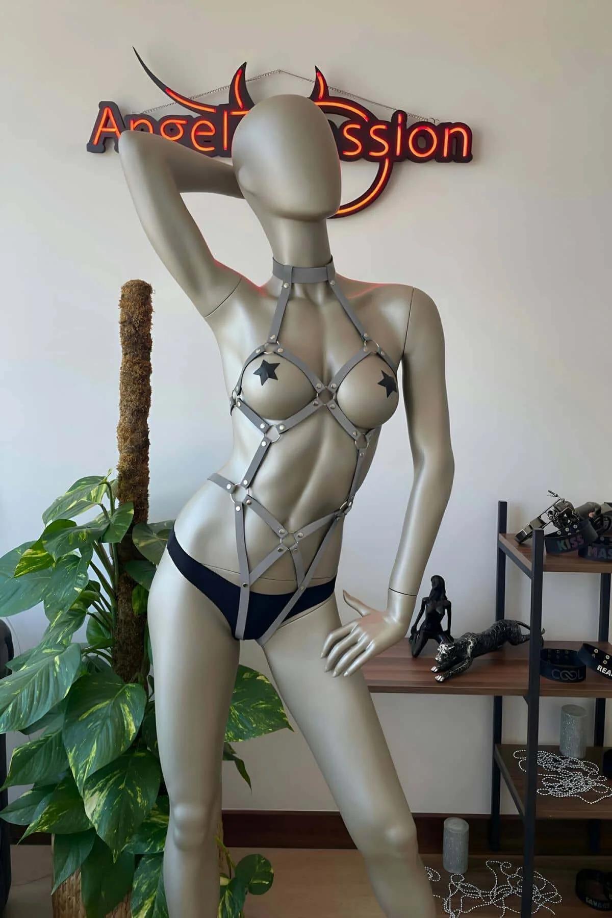 Reflective Full Body Harness with Star Accents