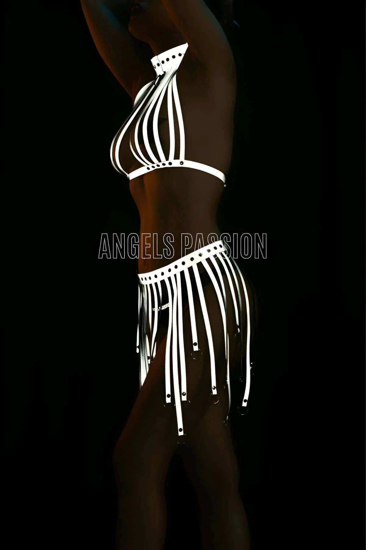 Reflective Halter Harness & Fringe Skirt Set