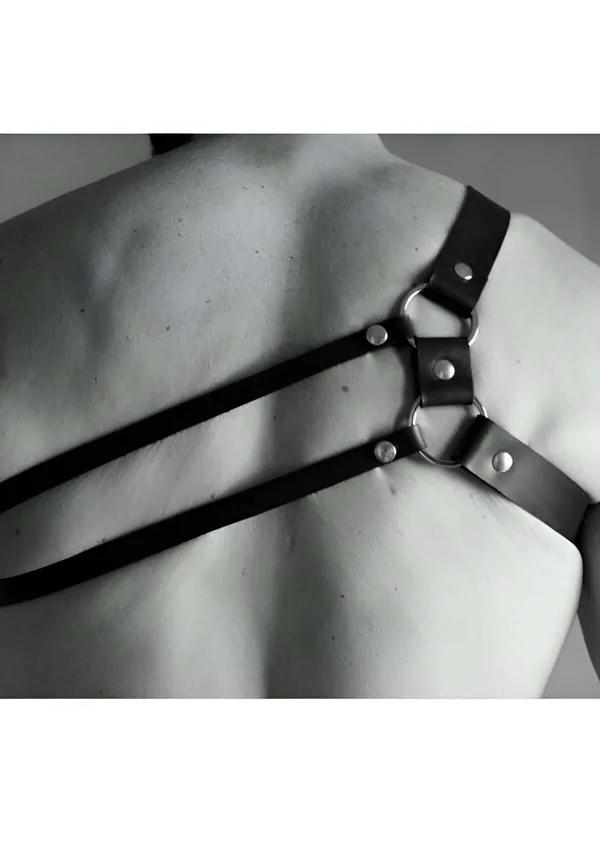 Full Chest Harness with O-Ring Details and Studs
