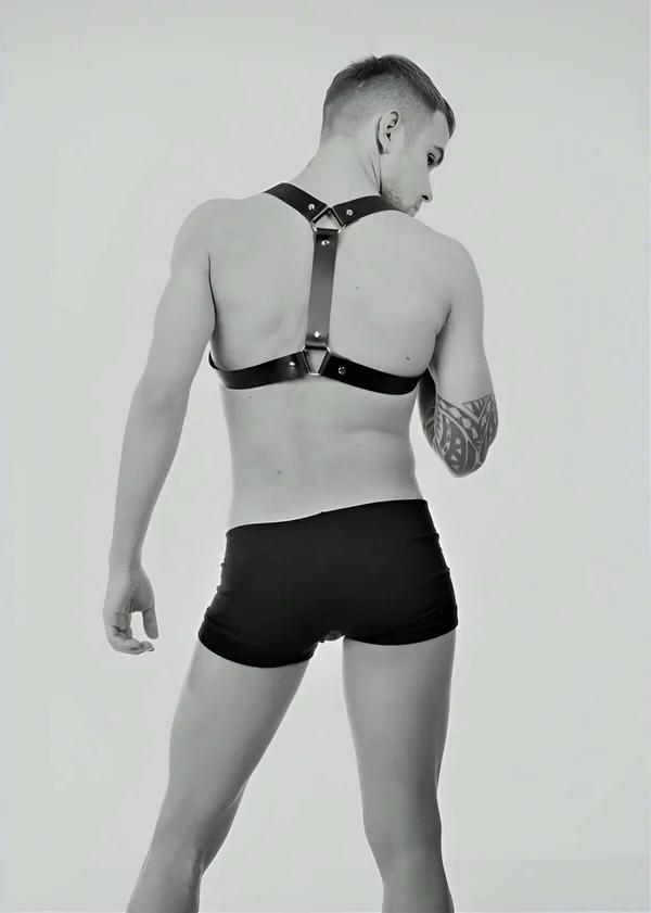 Shoulder Body Harness with O-Ring Details