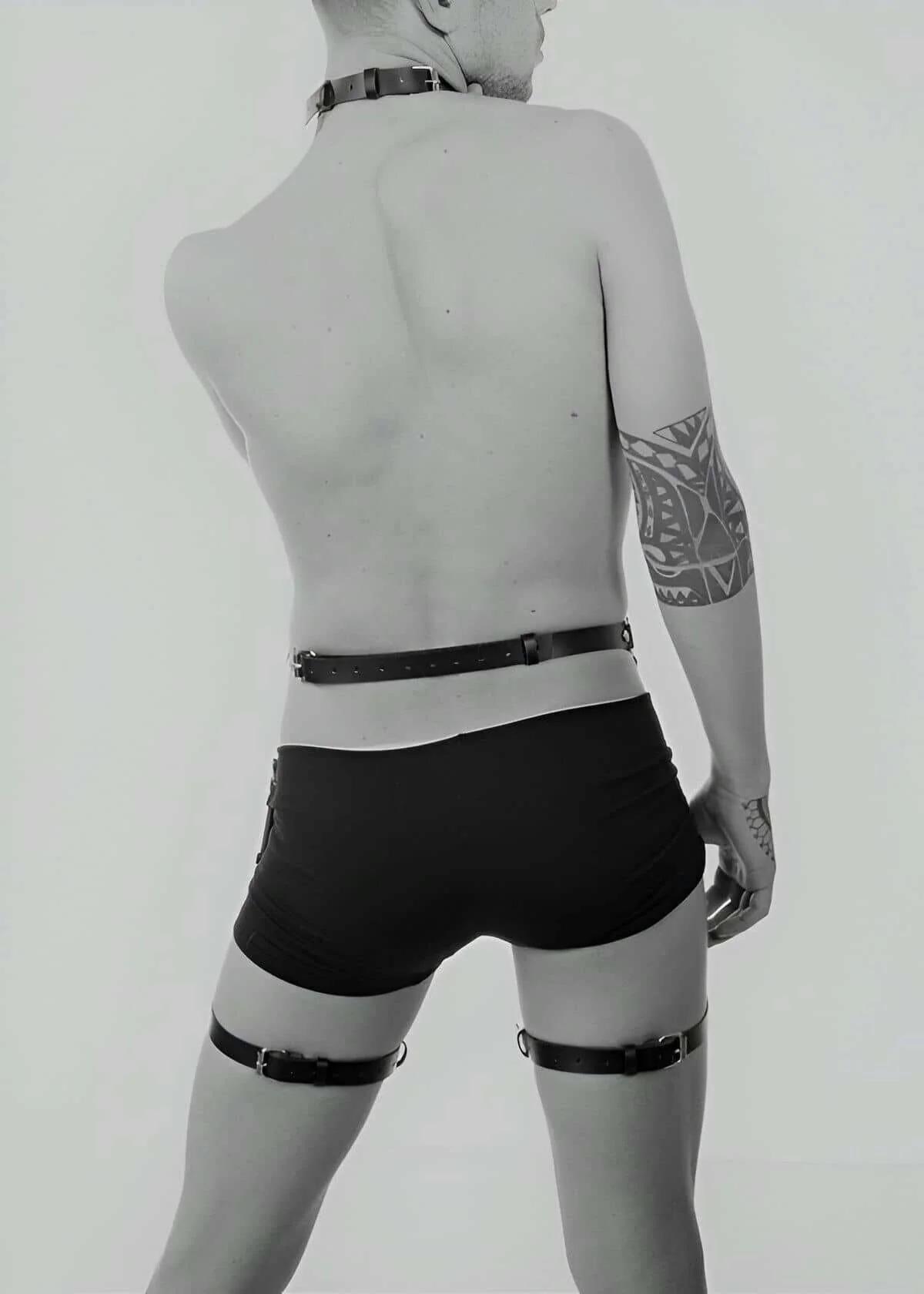 Adjustable Full Body Harness with Choker and Leg Straps