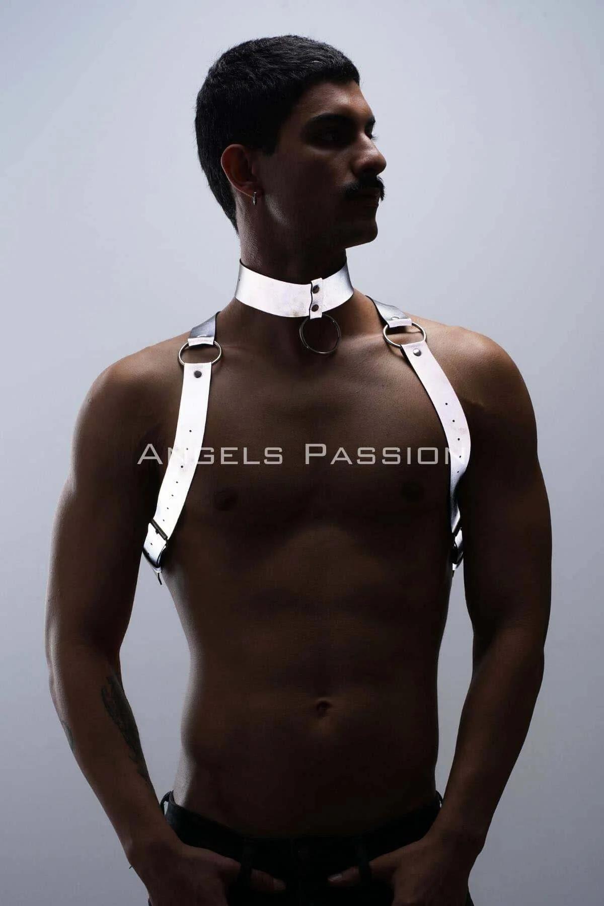 Reflective Body Harness & Choker Set