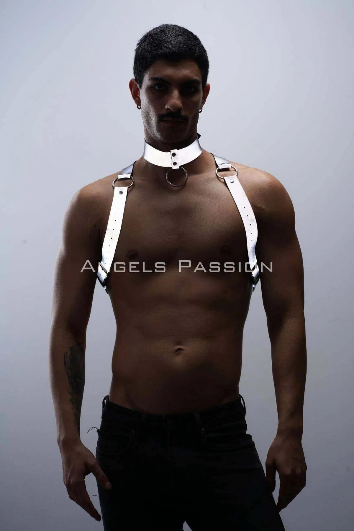 Reflective Body Harness & Choker Set