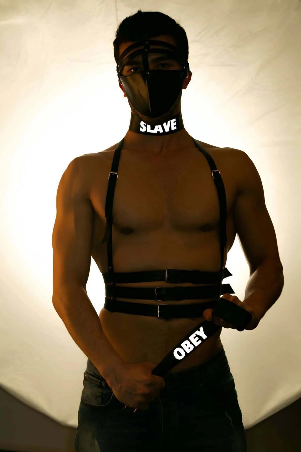 Reflective Chest & Waist Harness with Choker and Strap