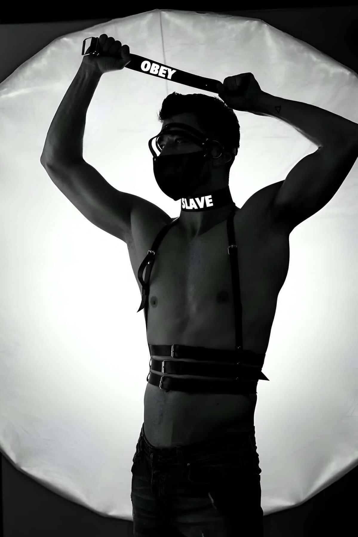 Reflective Chest & Waist Harness with Choker and Strap