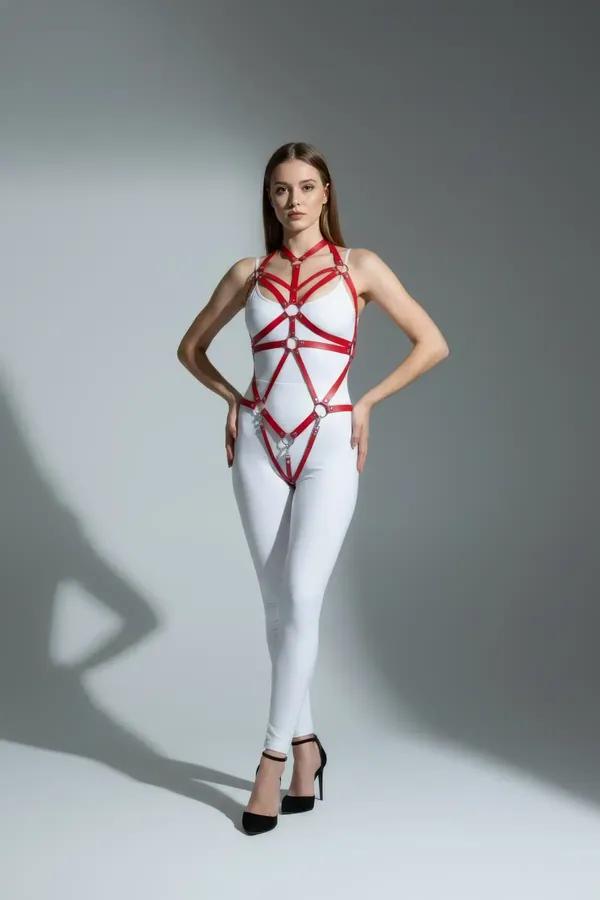 Full Body Harness with Interlocking Rings