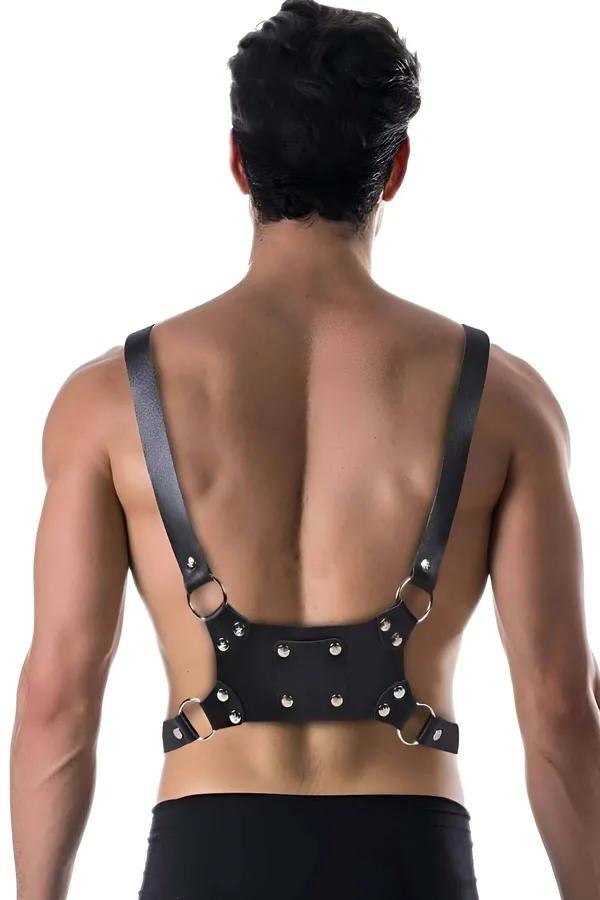 Adjustable Chest Harness with O-Ring Detail