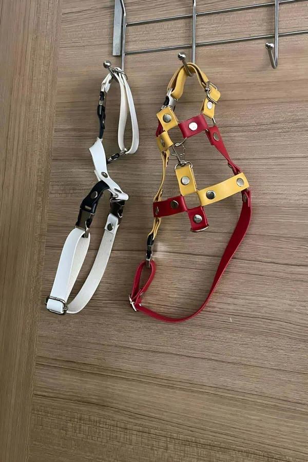 Adjustable Chest Harness with Leash Attachment for Cats