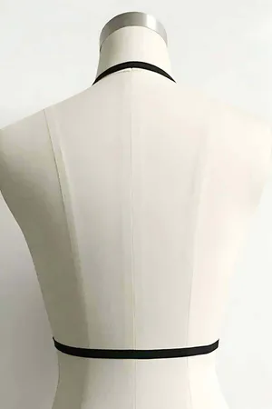 Special Design Harness- APFT101