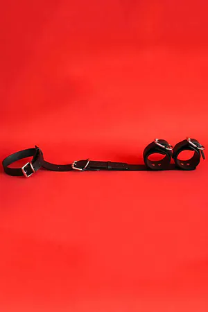 Sexy Leash Set with Ankle Tie - APFT327