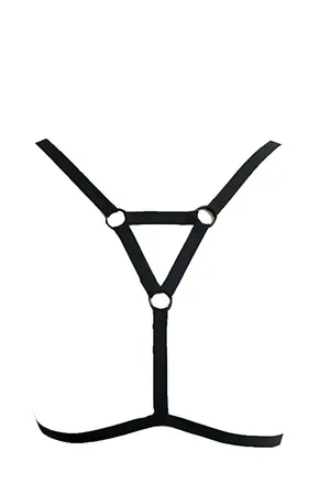 Special Design Harness - APFT98