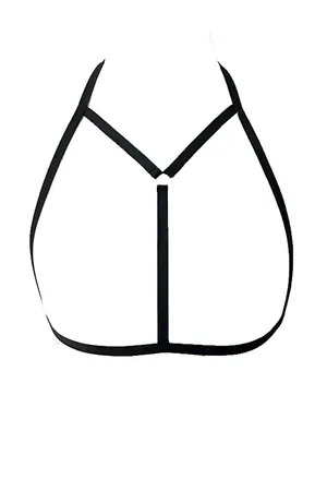 Special Design Harness - APFT90