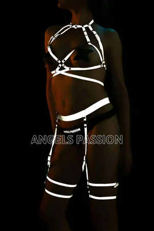 Sexy Underwear Fantasy Reflective Garter Set - APFT325