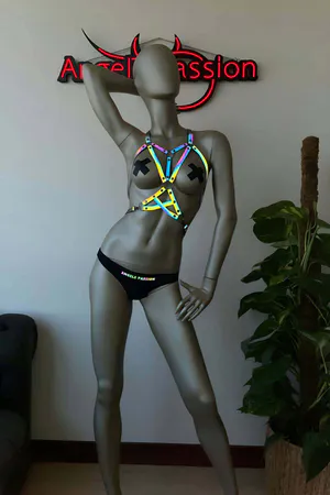 Tiktok Products Reflective Chest Harness on T-Shirt - APFT107