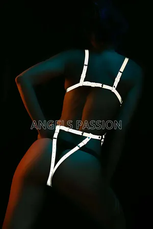 Erotic Underwear Reflective Harness - APFT368