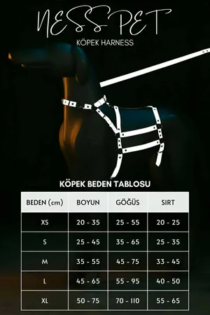 Reflective - Adjustable Dog Harness - Dog Walking Apparatus - NPD007