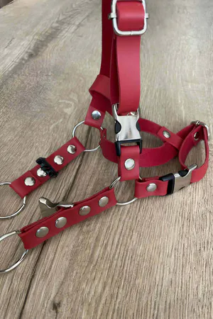 Leather Cat Harness, Cat Collar - NPC005