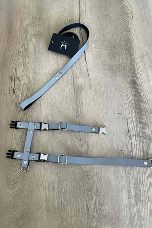 Cat Harness Reflective in the Dark Chest and Travel Set - NPC007