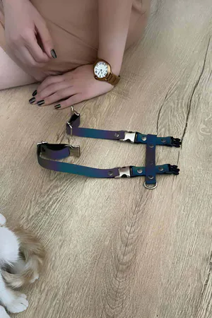 Cat Reflective Harness Chest and Travel Set - NPC007