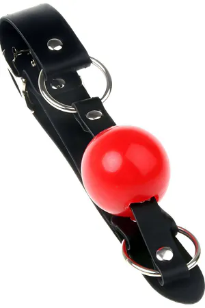 Sexy Leather Mouth ball - APFT974