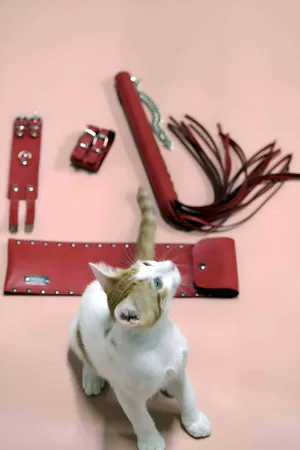 Whip - Handcuff Set, Whip Set, Fancy Handcuff Set - APFT1304