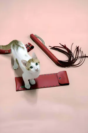 Whip - Handcuff Set, Whip Set, Fancy Handcuff Set - APFT1304