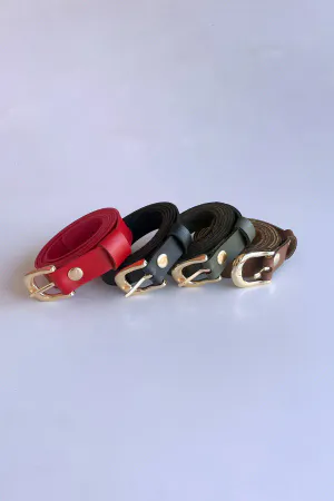 4-Piece Belt Set, Black Belt - Red Belt - Khaki Belt - Tan Belt (Gold Accessory)