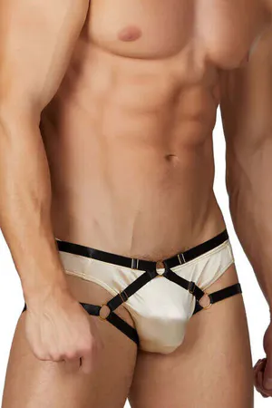 Fancy Men's Rubber Harness - APFTM217