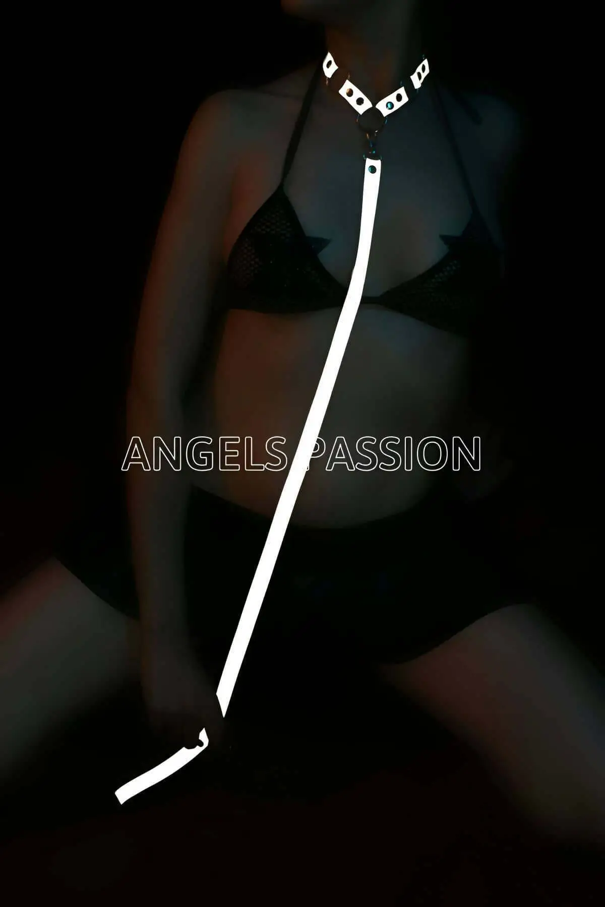 Special Collar that Glows in the Dark - SH309